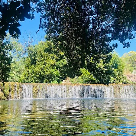 Le Cocoon Lodge Du Gapeau & Massage Solliès-Pont Εξωτερικό φωτογραφία